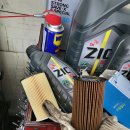 애니카랜드 교동한미 이미지