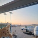 올래퍼피 | 엔시티위시 대영님과 함께 한 광저우 베이징 후기