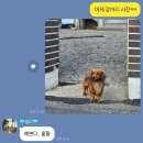 묘운네일 이미지