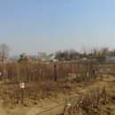 산림조합 이미지