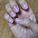 반디&블루 이미지