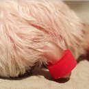 길종합동물병원 이미지