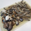 대천일반 이미지