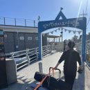 당사의 아침 | [울산 캠핑] 당사현대차오션캠프 명당 데크 8번 예약, 2박3일 후기(2025.11.10~11.12)