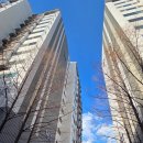 브라운스톤하나마을 아파트 107동 앞 | 뒤늦은 임장기록 : 상도현대와, 너무나도 핫했던 1월의 관악구 부동산 시장