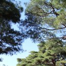 영신유원지 자전거 무료 대여소 이미지