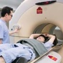 PET CT 검사 비용 시간 펫시티 금식 및 알아둘 점 이미지