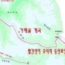 정바우