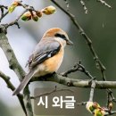 바람 그 이름 / 조승용 이미지