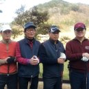 대영 이미지