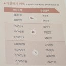 웨딩마일리지 더블적립 기간 셀린느 가방 구매 후기