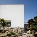 두그루나무 이미지