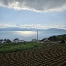 일월카서비스 | T01. 마산과 남해로 여행 다녀 왔어요 (일월, 수정반점, 카루소 펜션, 더풀, 파인블리스 카페, 사계절밀면)