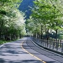 밀양댐문화관 이미지