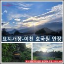 이천서씨 묘 | 염쟁이강씨의 합장묘 돌발 상황!!! 미 육탈(생장) 수습 후기 (묘지 개장-이천호국원 안장 예정)
