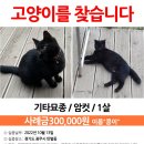 탄벌카서비스 이미지