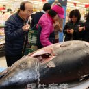 ㈜이마트 분당점 이미지