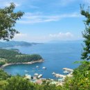 아구할미 서대대감 이미지