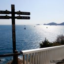 제주복국 이미지