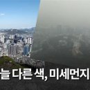 노벨청과