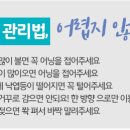 오성인력사무소 이미지