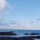 까사델마마223 이미지