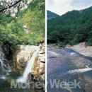 무릉선원 이미지