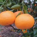 한밭농장 이미지