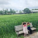 옥화목장 이미지