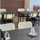 세컨디 포레스트 로고
