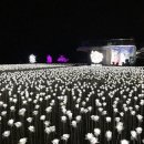 장미커피숍 이미지