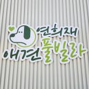 연희재 애견펜션 이미지