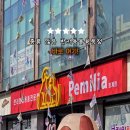 청량리역 다이소 앞 거리가게 뒤 | 울산 애견용품 매장 강아지 고양이 펫용품 많은 페밀리아 호계점 후기