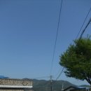 개성부동산중개사무소 이미지