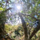 gc-camera-010 이미지