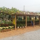 옥길농장 이미지