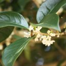 주선한의원 이미지