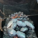 성욱목장 이미지