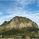 제주 산방산 암벽식물지대 이미지