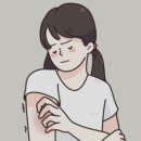 버들약국 이미지