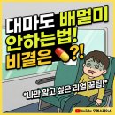 가까운평화약국 | 대마도 배멀미 씨플라워호 이즈하라행 후기, 안 하는 법 비결은 결국 '이것'?!