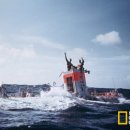 딥씨(Deepsea) 이미지