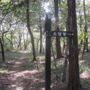낙동강변로-12 Daum카페