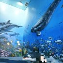 아빠와 고래 | 울산고래박물관 및 고래생태체험관 솔직후기 (그리고 키즈카페)