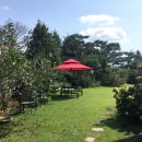 비비정예술열차 이미지