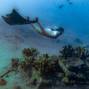 성우민박 이미지