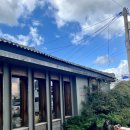 양지 | [호탕] 제주 애월 현지인추천 맛집, 가지덮밥 &amp; 양지탕면 + 칠리새우 리얼후기