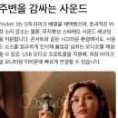 (주)스마트크리에이터 | 오즈모포켓3 크리에이터 콤보 구매및 후기