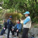 부산의 2봉 해운대 `장산` 이미지