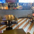 도그스타 이미지